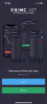 Exploring PrimeXBT Hub A Gateway to Advanced Trading